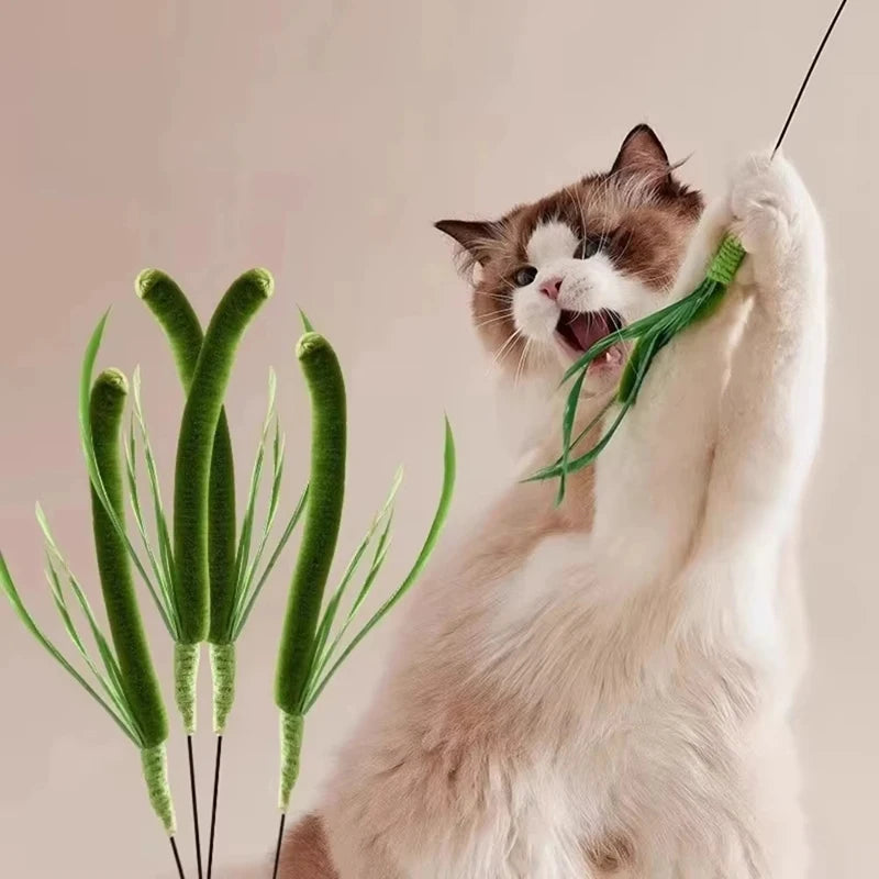 Bite Resistant Cat Teaser Wand Interactive Feather Toy with Sound Tail Grass Kitten Teasing Stick for Cats Durable Cat Supplies