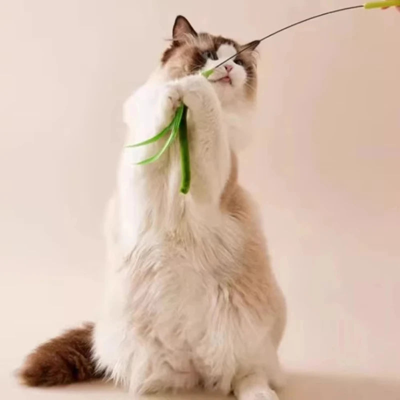 Bite Resistant Cat Teaser Wand Interactive Feather Toy with Sound Tail Grass Kitten Teasing Stick for Cats Durable Cat Supplies